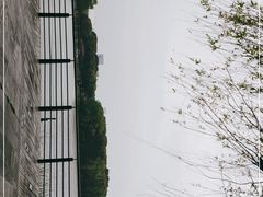 -昆山城市生态森林公园