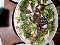 青青椒麻龙胆鱼-CHIC1699远洋私厨