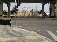 -龙大花卉苗木市场