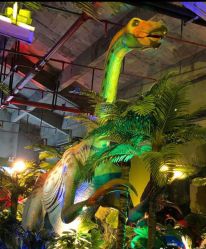 -恐龙探索乐园(磁器口店)