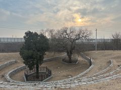 -马家湾湿地公园