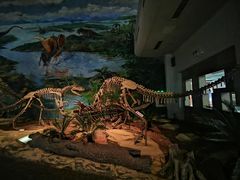 -自贡恐龙博物馆