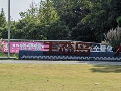 -上海长兴岛郊野公园