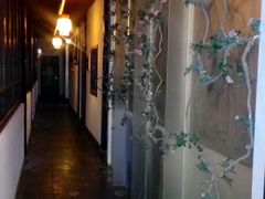 -碧丽宫大酒店(召稼楼店)