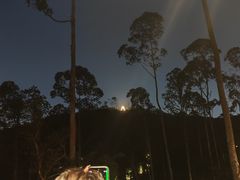 -水濂山森林公园