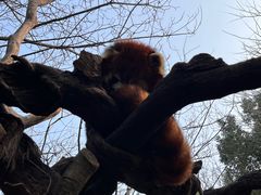 -常州淹城野生动物世界