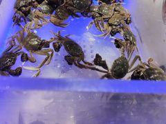 -诱货海鲜自助火锅(爱琴海购物公园东百店)