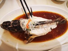 -金春禧(英雄山路旗舰店)