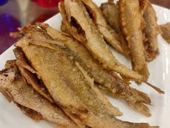 -北京小肠陈饭庄(方庄店)