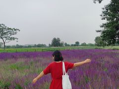 -汉长安城未央宫国家考古遗址公园