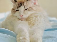 -南沙十九涌渔人码头-南门