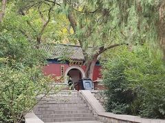 -千佛山风景名胜区