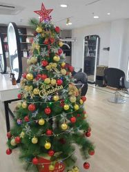 -新晨·SALON·形象造型