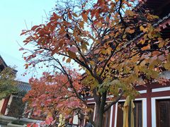 -西安华清御汤酒店