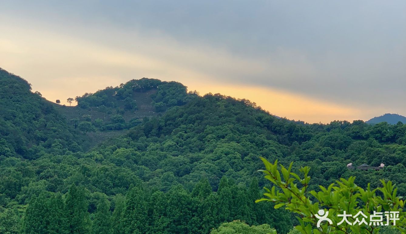 西湖半山腰绝美餐厅🍴太适合约会了 