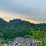 西湖半山腰绝美餐厅🍴太适合约会了 