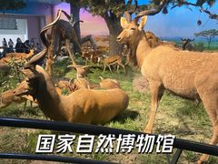 -国家自然博物馆