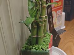 -新海渔港·胶东海鲜家常菜·家宴(奥体中心店)