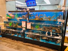 水产区-盒马鲜生(宝地店)