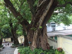 -龙环葡韵住宅式博物馆