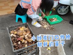 -杨记山珍鸡煲菌汤锅