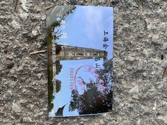 -上海佘山国家森林公园天马山园