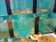 水产区-明海妈妈菜(大连外国语学院店)