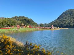 -广州市石门国家森林公园
