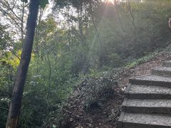 -上海佘山国家森林公园天马山园