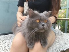 -小时光咖啡馆(北锣鼓巷店)