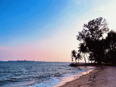 -东海岸人工湖美食村