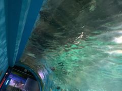 -常州海昌海洋探索馆