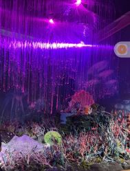 -同远QQBABY亲子摄影(北京路店)
