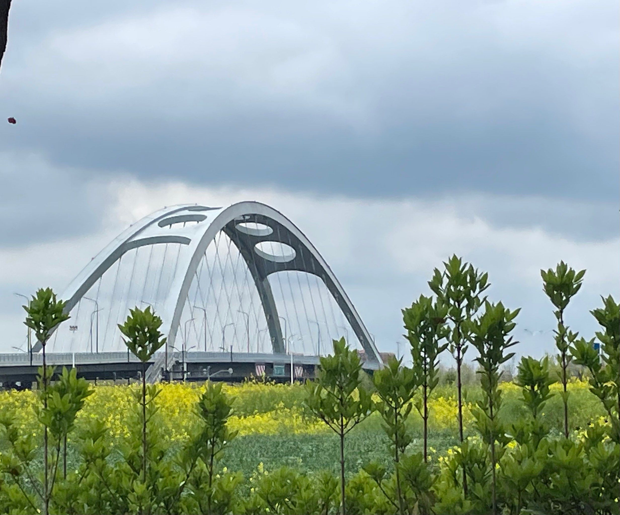 滨江骑行到金山大桥以北的第二座联通朱泾到新农的大桥