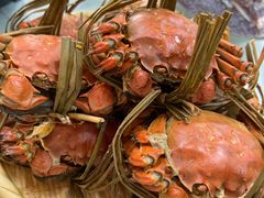 -芸海阁·农家私房菜(沙家浜景区出口店)