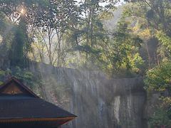 -西双版纳原始森林公园