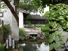 -东山雕花楼