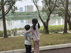 -南宁南湖公园