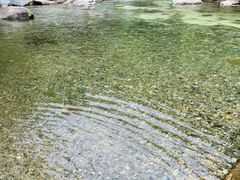 -大鄣山卧龙谷景区