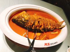 -阿五黄河大鲤鱼(纬三路店)