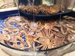 -海景壹号大酒店(滨湖店)