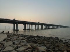 -宝安西湾红树林湿地公园