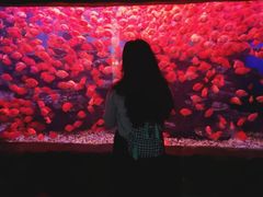 -多彩贵州城极地海洋世界