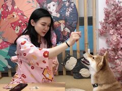 -柴迷FANS CLUB·柴犬狗咖·猫咖