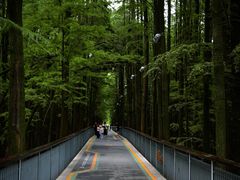-青山湖景区