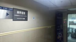 点击看大图 -藤野造型
