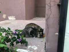 -香满园春饼·家常菜(东大桥店)