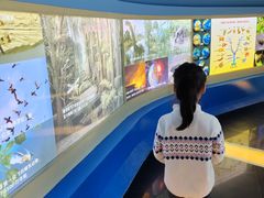 -上海昆虫博物馆