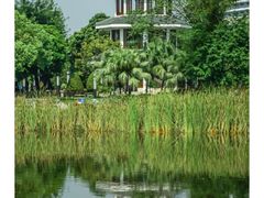 -广州国际生物岛