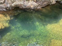 -白云源风景区